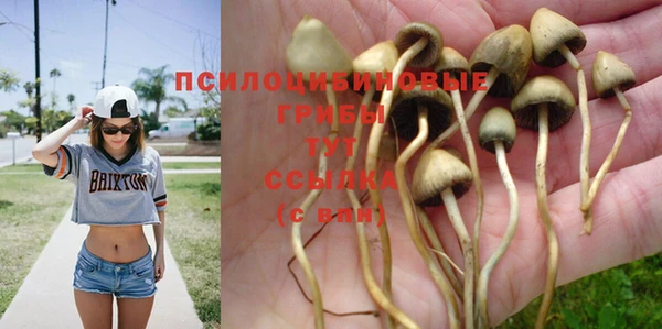 прущая мука Алзамай