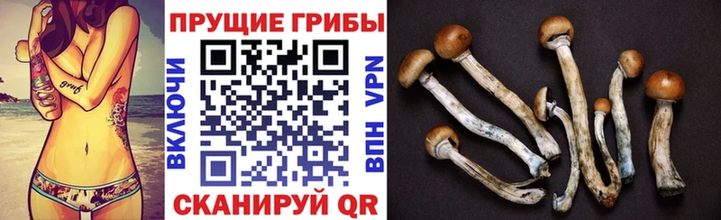 Псилоцибиновые грибы Magic Shrooms  Новокубанск 